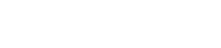 SVN Investimentos